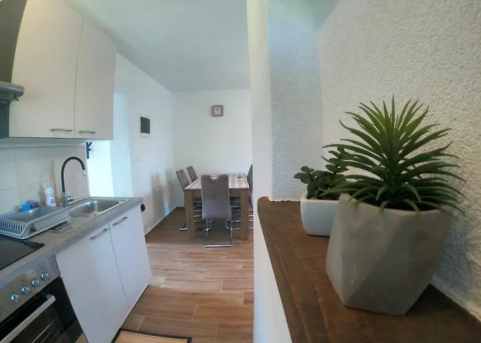 Appartement Zekic *